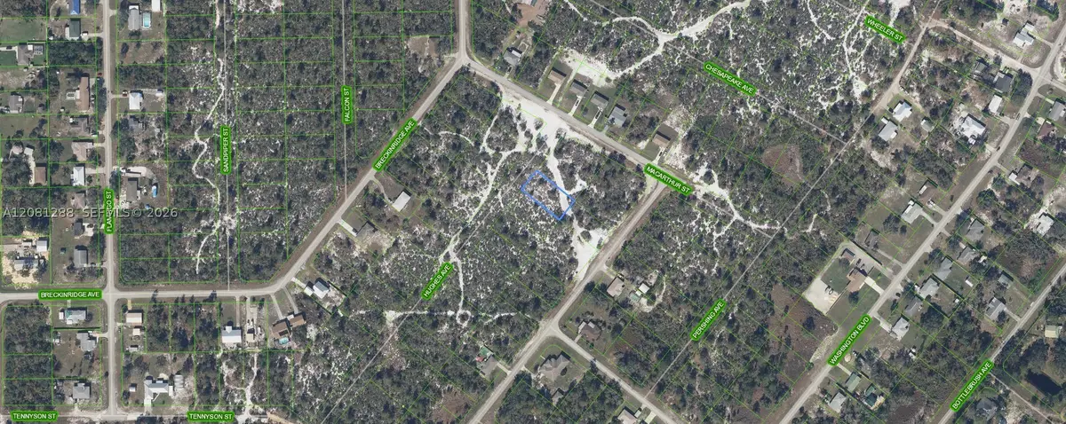1073 Hughes Ave, Lake Placid, FL 33852 - #1