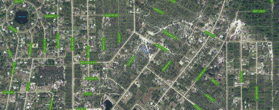 1073 Hughes Ave, Lake Placid, FL 33852 - #2