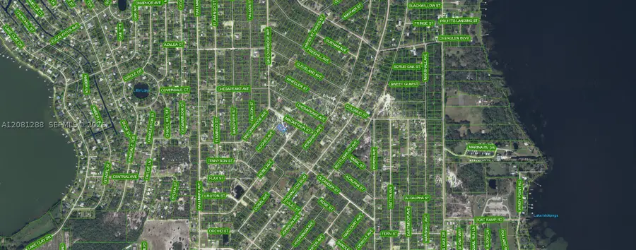 1073 Hughes Ave, Lake Placid, FL 33852 - #3