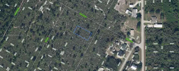 1454 Jayhawk Ave, Lake Placid, FL 33852