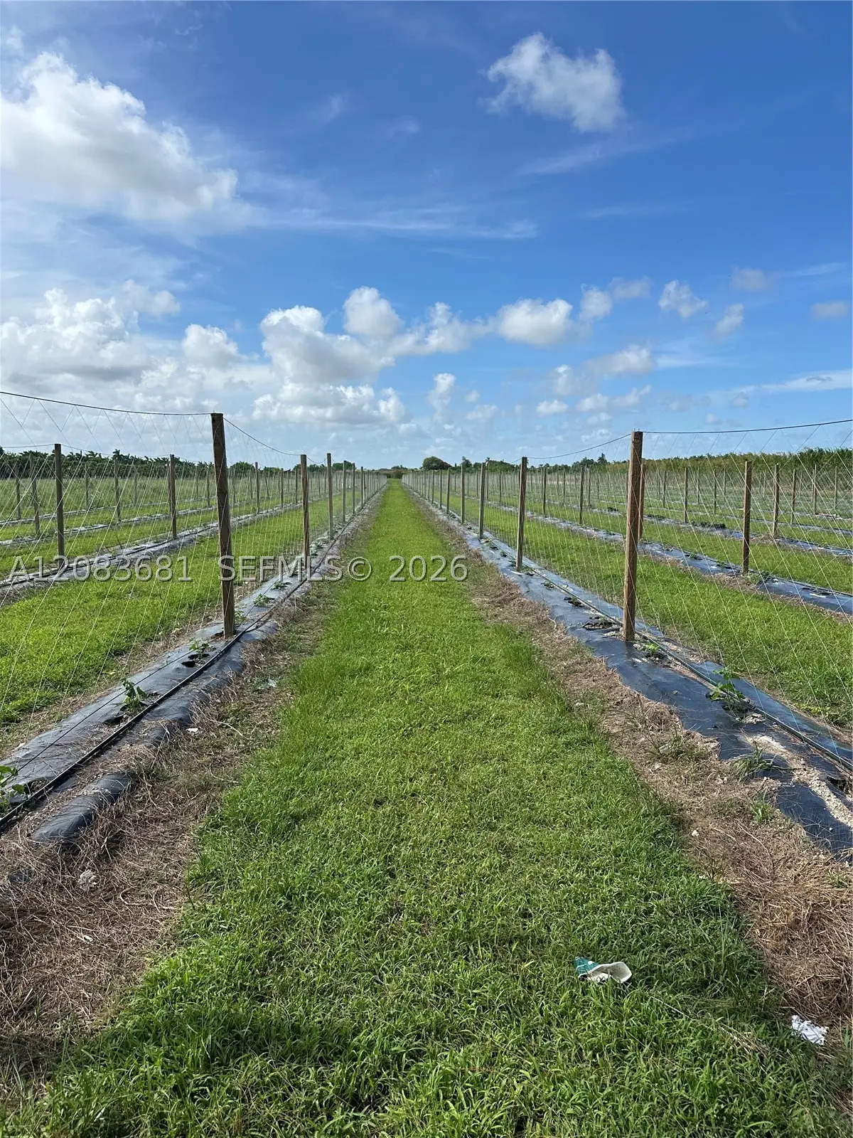 N 280, Homestead, FL 33033 - #1
