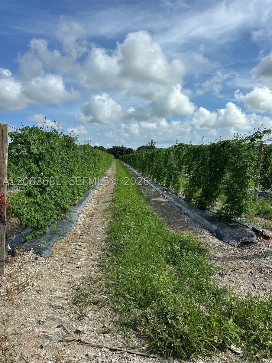 N 280, Homestead, FL 33033 - #2