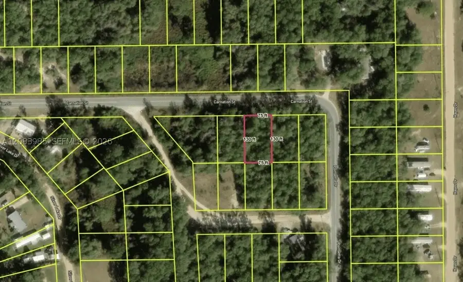 [107] Carnation St, Interlachen Florahome, FL 32148 - #3