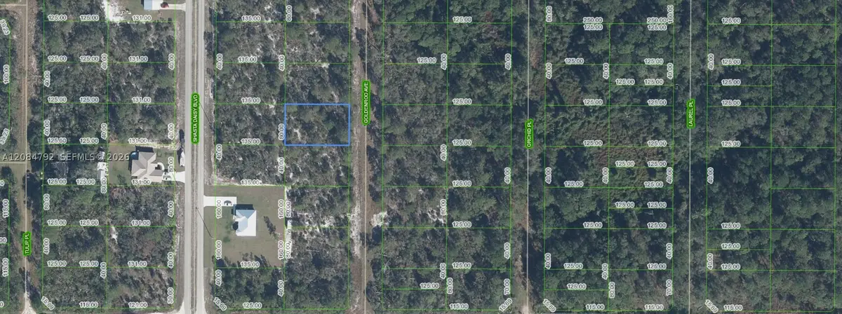 7019 Goldenrod Avenue, Sebring, FL 33875 - #1