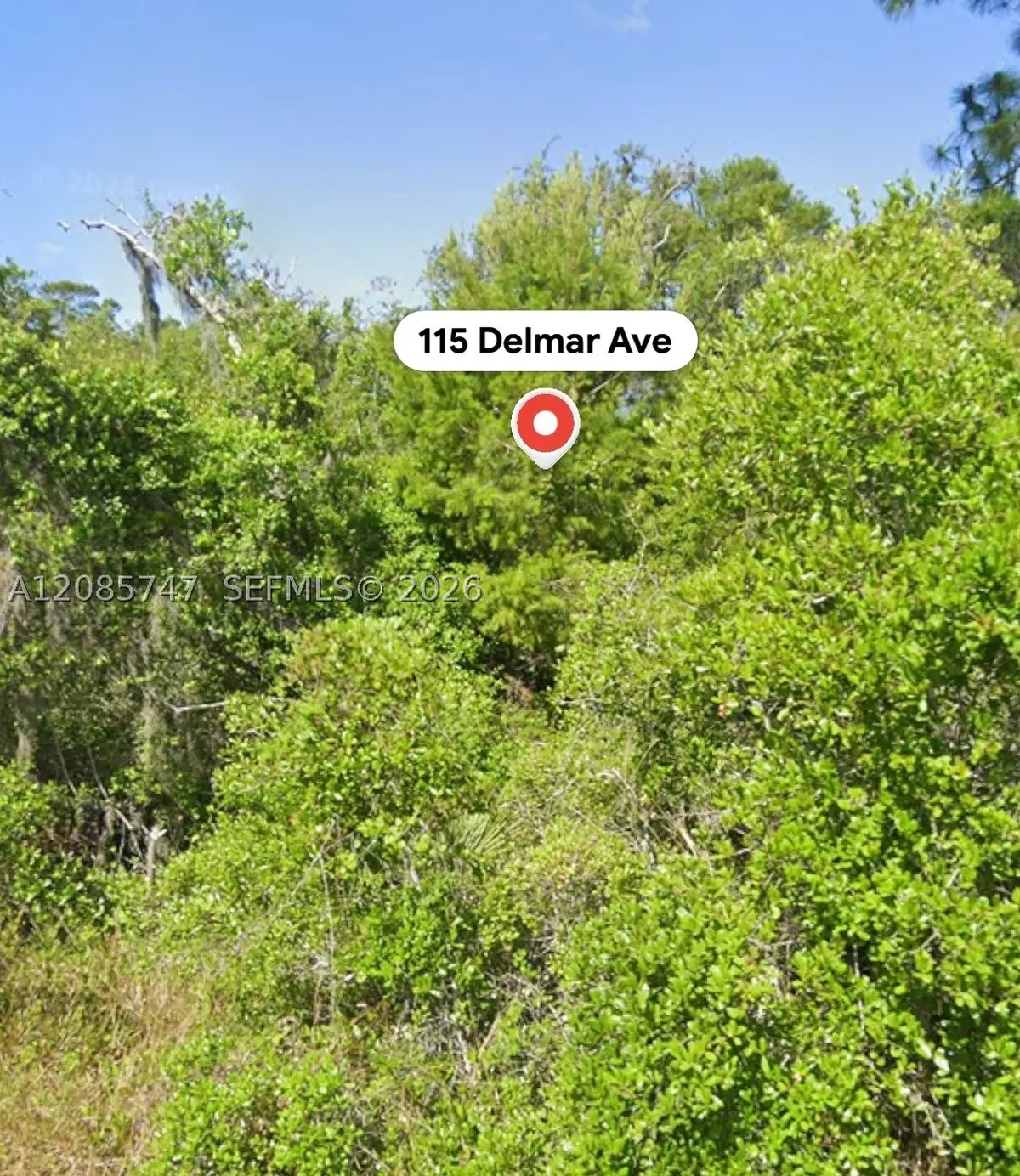 115 Delmar Ave, Lake Placid, FL 33852 - #1