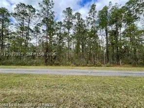 0 Oleander Drive, Lake Wales, FL 33898 - #3