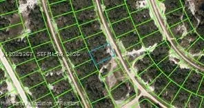 234 Rhythm Drive, Lake Placid, FL 33852 - #3