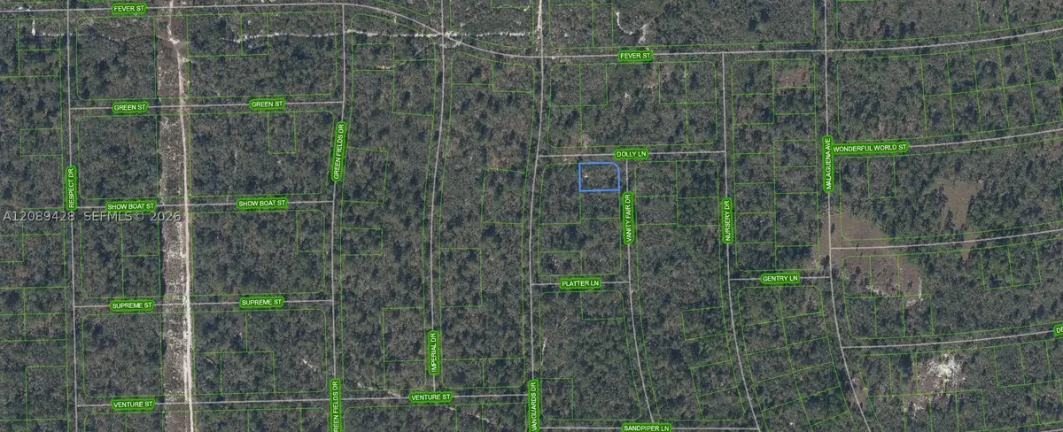 305 Dolly Lane, Lake Placid, FL 33852 - #1