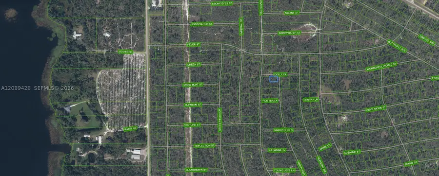 305 Dolly Lane, Lake Placid, FL 33852 - #2