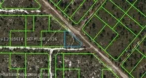 532 Nichele Boulevard, Lake Placid, FL 33852 - #3