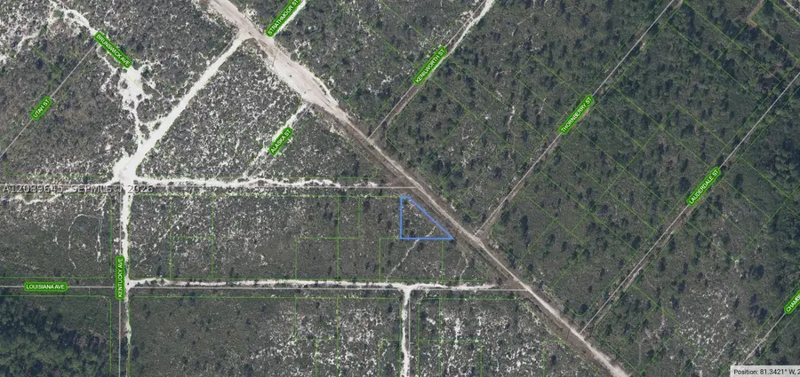 536 Nevada Avenue, Lake Placid, FL 33852 - #2