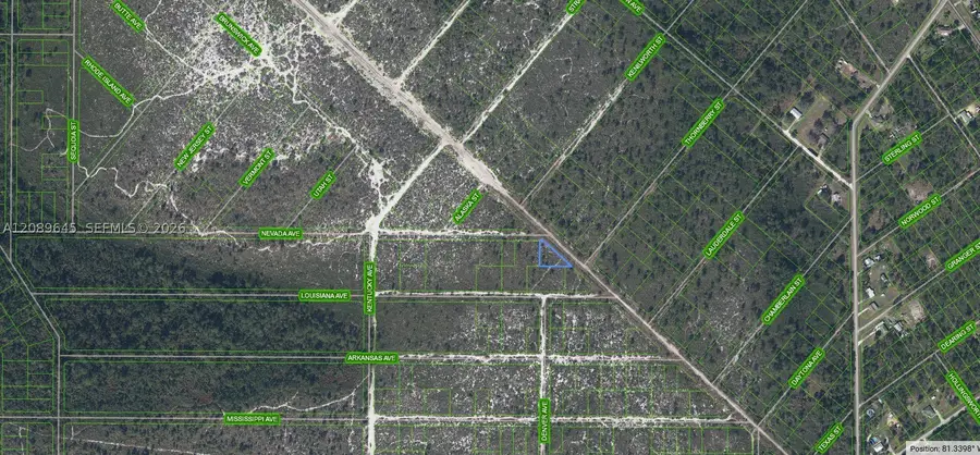 536 Nevada Avenue, Lake Placid, FL 33852 - #3