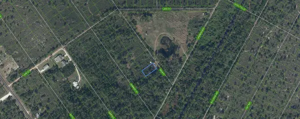 546 Palm Street, Lake Placid, FL 33852
