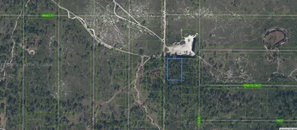 881 Papaya Street, Lake Placid, FL 33852