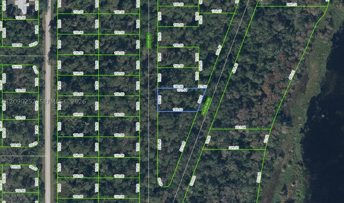 927 Kirby Avenue, Lake Placid, FL 33852 - #1