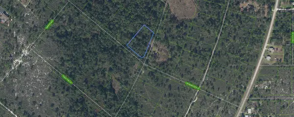 Address Withheld By Seller, Lake Placid, FL 33852