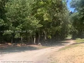 2326 W Barben Road, Avon Park, FL 33825 - #3