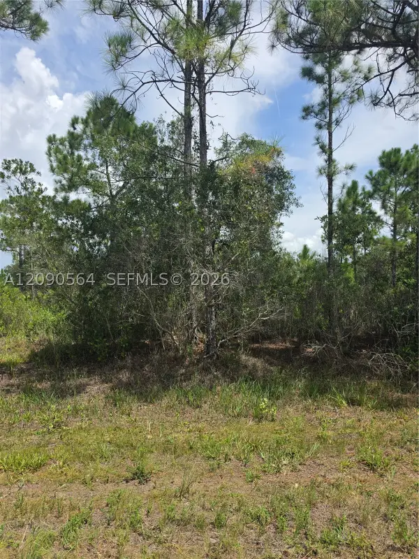 0 Tropicana, Other, FL 33855