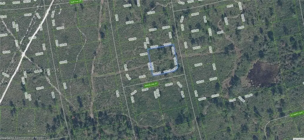 4703 San Pedro Dr, Sebring, FL 33872 - #1