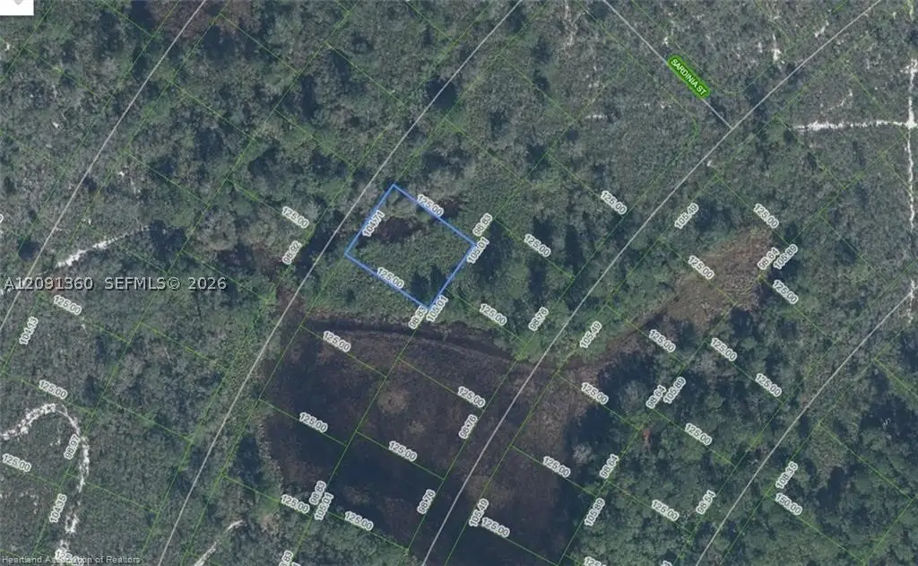 6625 San Benito Dr, Sebring, FL 33872 - #1