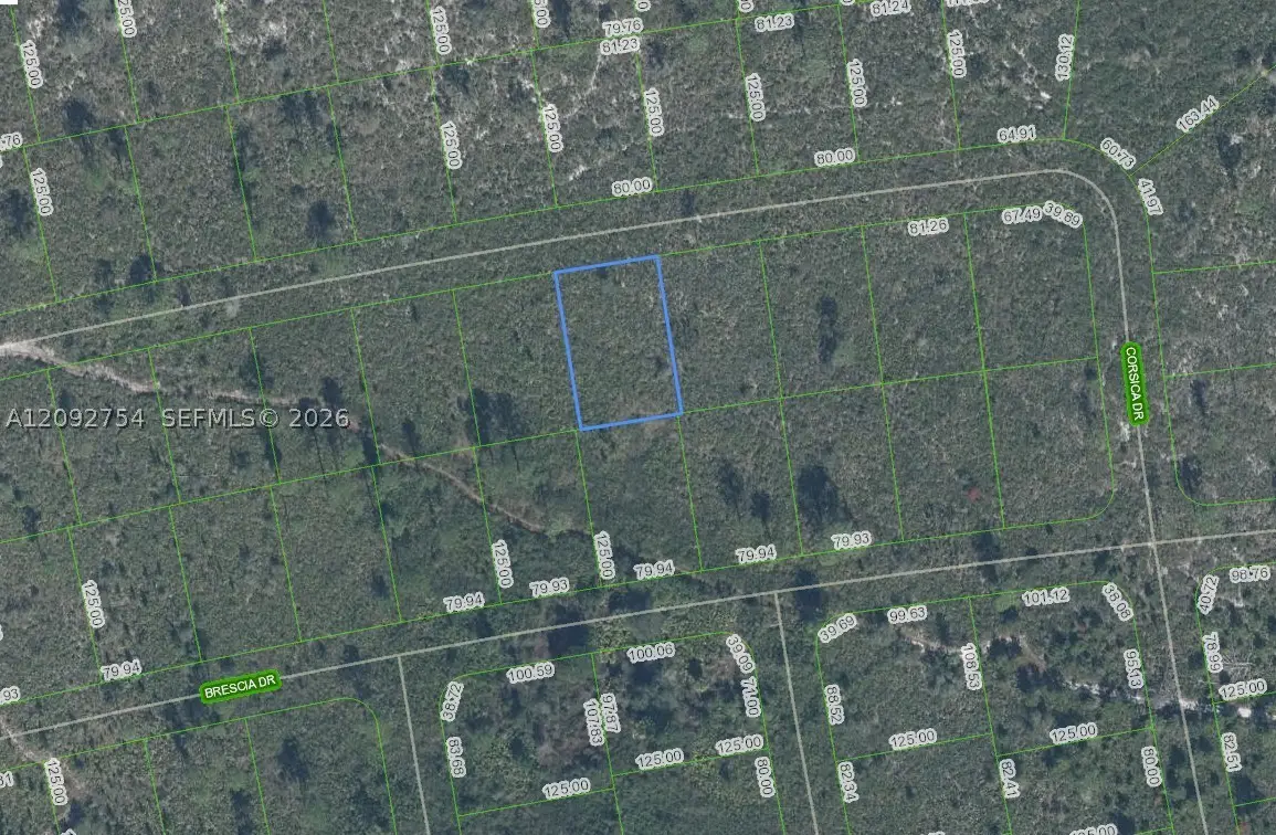 5032 Corsica Drive, Sebring, FL 33872 - #1