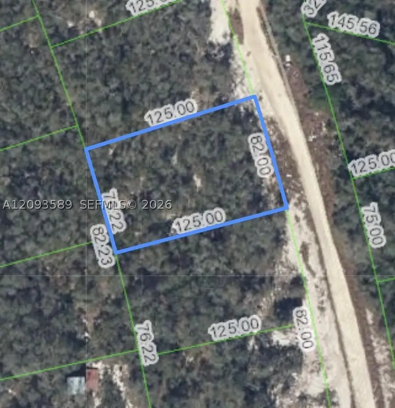 210 Sunway Dr, Lake Placid, FL 33852 - #3