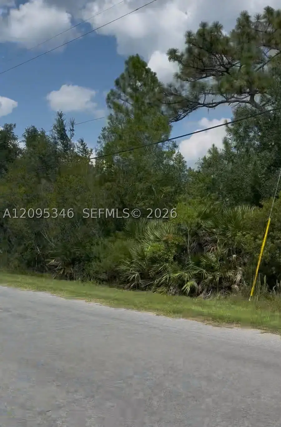 4101 Caesar Avenue, Wedgefield, FL 32833 - #3