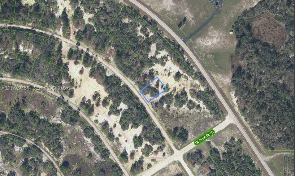 488 Morningside Drive, Lake Placid, FL 33852 - #1