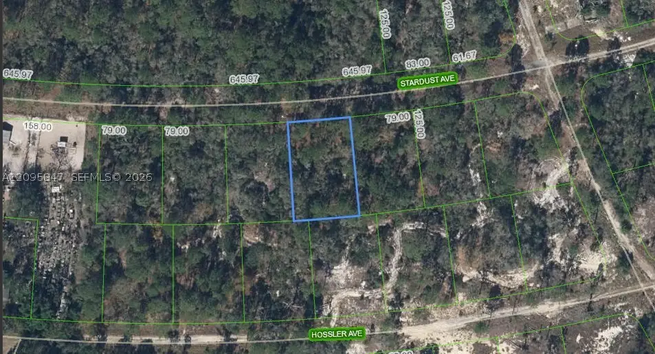 365 Stardust Avenue, Lake Placid, FL 33852 - #1