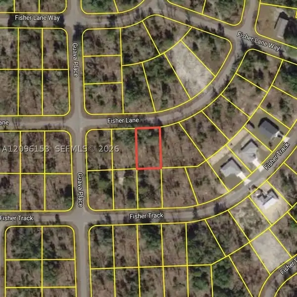 UNDETERMINED Ocklawaha, Florida, Other, FL 32179
