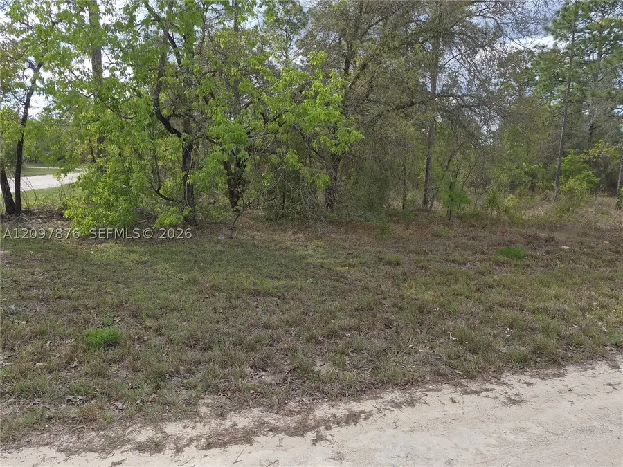 00 NE Ne 4th St, Williston, FL 32696 - #3