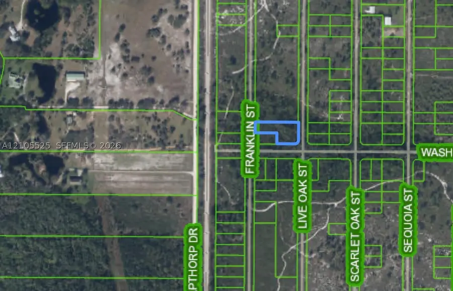733 Franklin St, Lake Placid, FL 33852 - #3