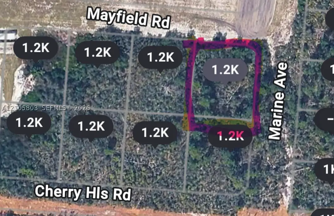 25153 Marine Ave., Sebring, FL 33875 - #1