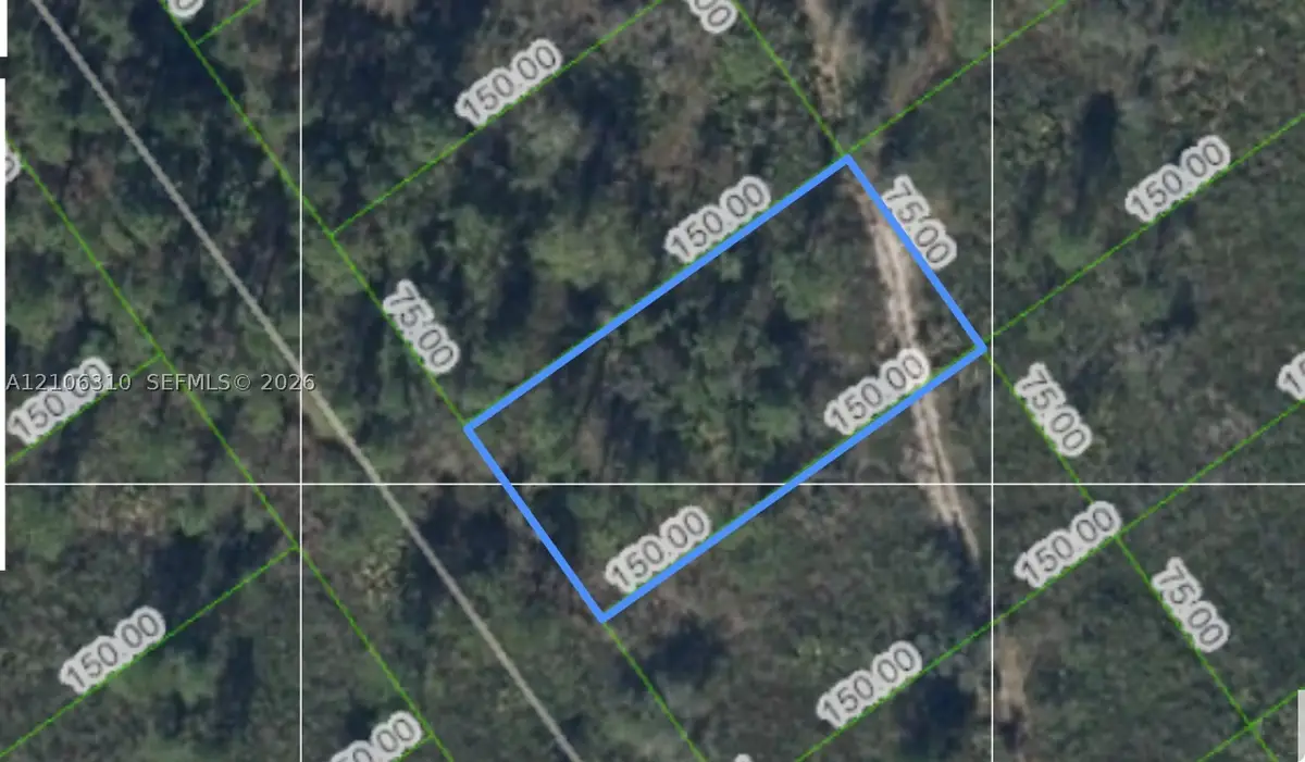 562 Kennedy St, Lake Placid, FL 33852 - #1