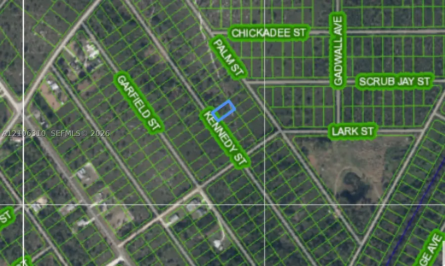 562 Kennedy St, Lake Placid, FL 33852 - #2