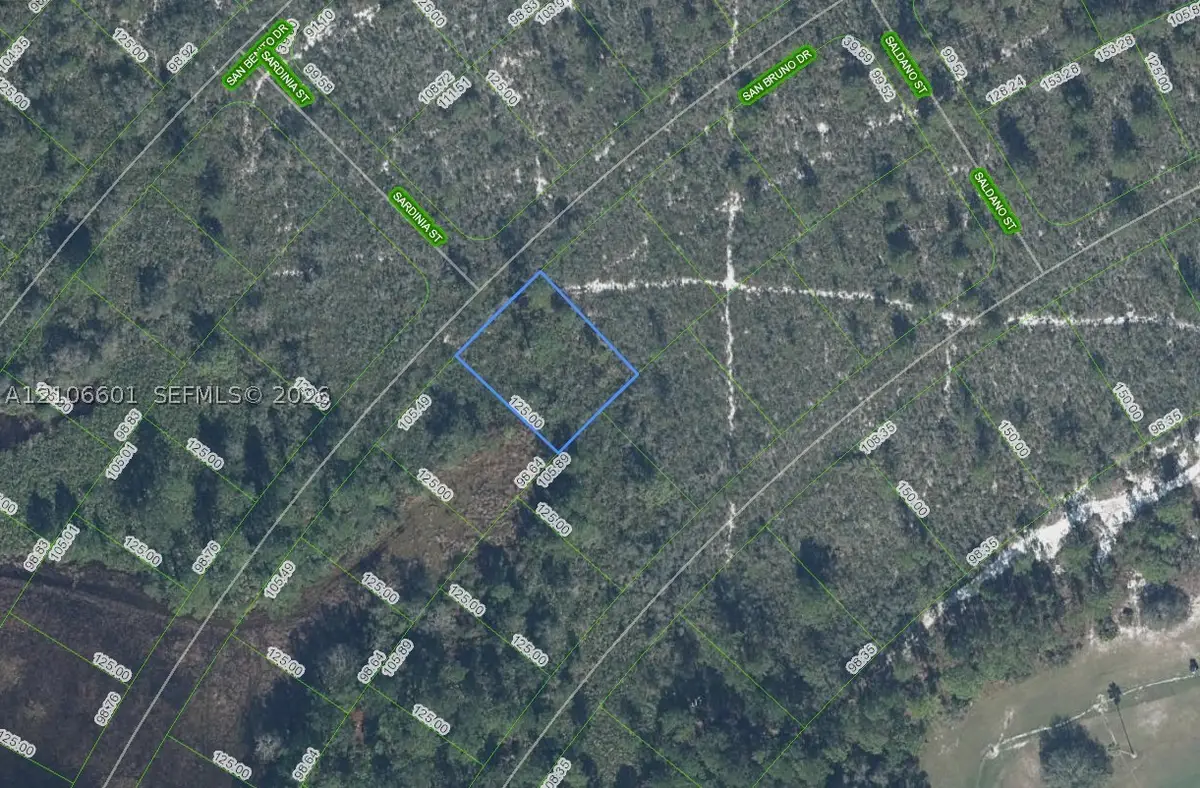 6579 San Bruno Drive, Sebring, FL 33872 - #1