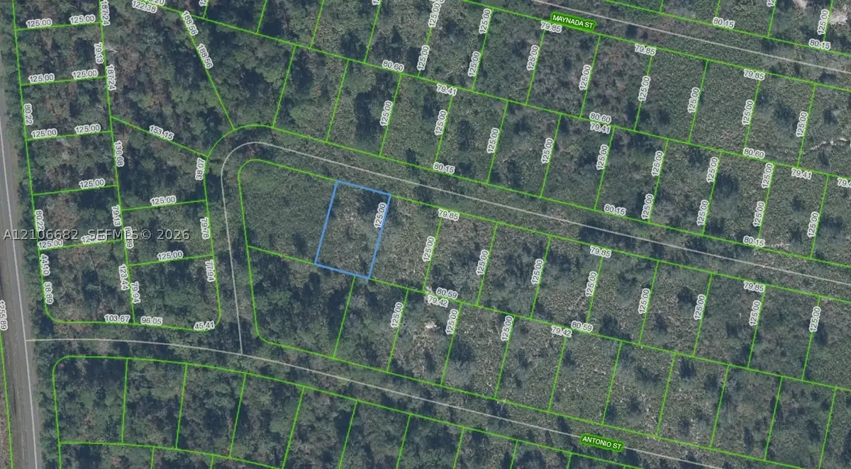 8729 Cicely Drive, Sebring, FL 33872 - #1