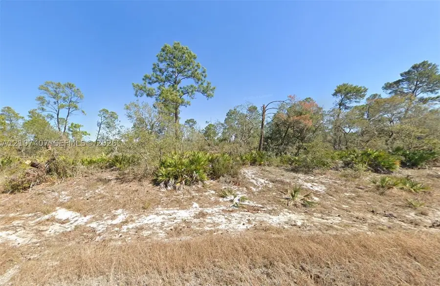 715 Scott St, Lake Placid, FL 33852 - #2