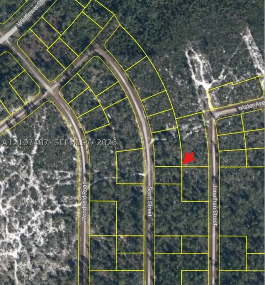 715 Scott St, Lake Placid, FL 33852 - #3