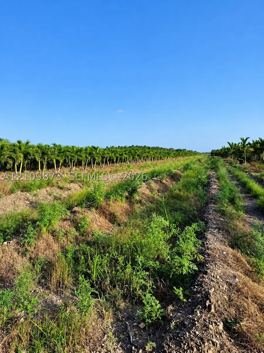 117th Ave, Homestead, FL 33033 - #3