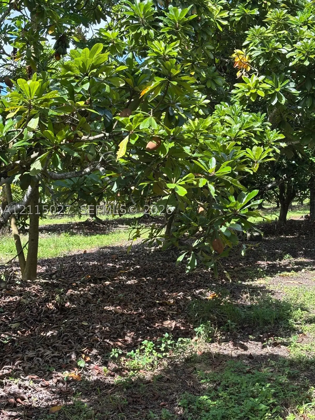 165 St, Miami, FL 33187 - #1