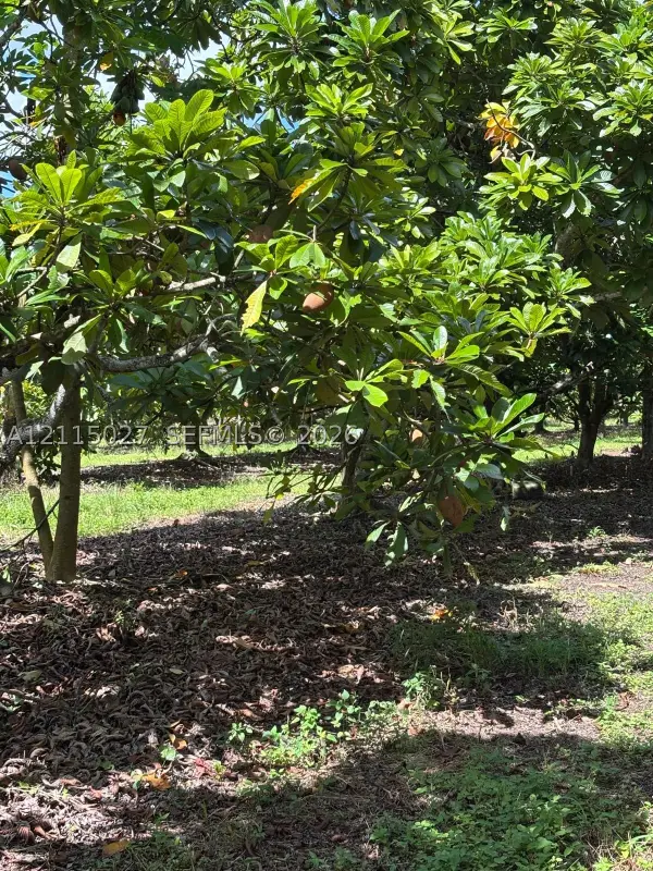 165 St, Miami, FL 33187