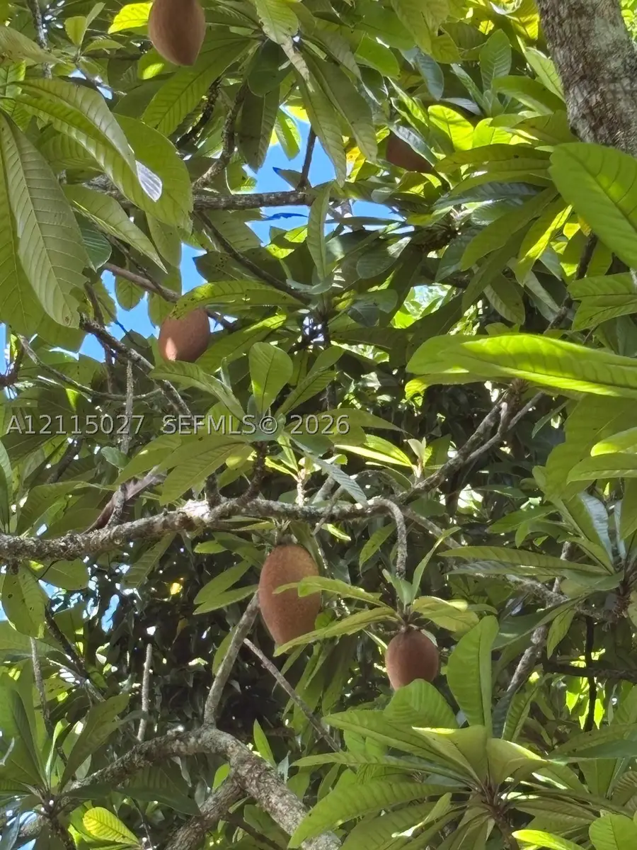 165 St, Miami, FL 33187 - #3