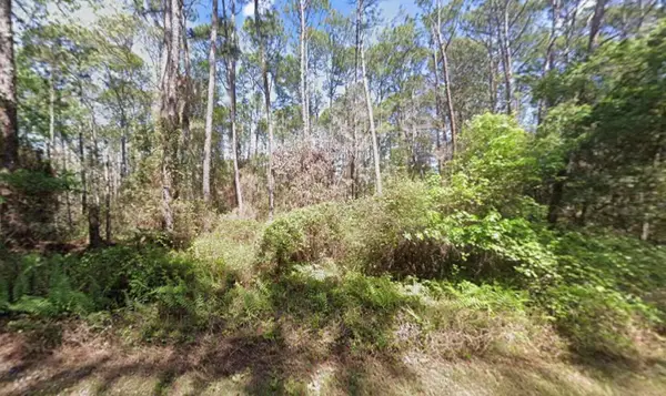 416 Palm Way, ,, FL 32139