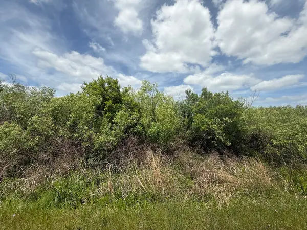 15837 NW 282nd Street, Okeechobee, FL 34972