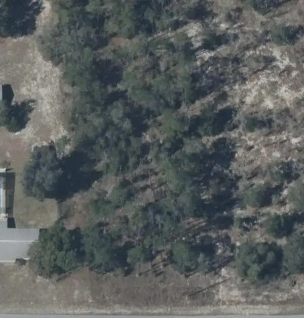 Tbd SW Zinnia Court, ,, FL 34431
