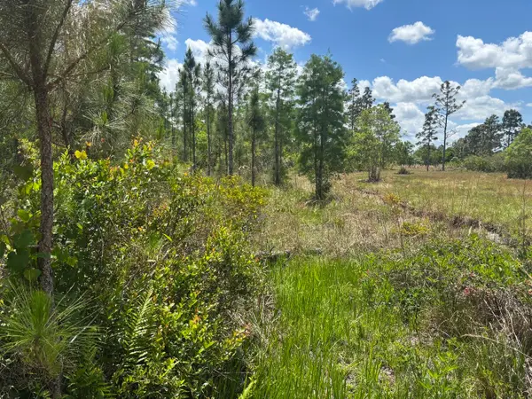 0 Holopaw Groves Road, ,, FL 34772