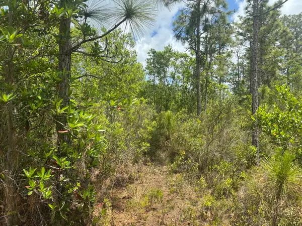0 Holopaw Groves Road, ,, FL 34772