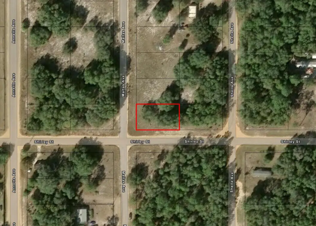 0 Shirley Street, Interlachen Florahome, FL 32148 - #1