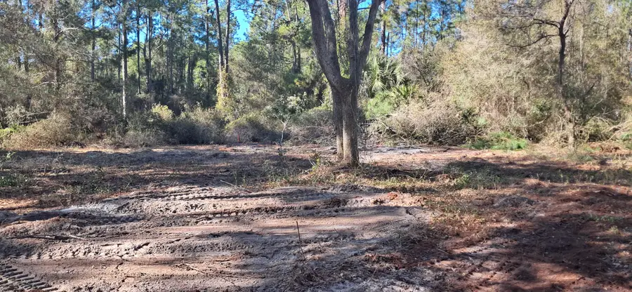 120 Gardenia Avenue, Georgetown, FL 32139 - #3